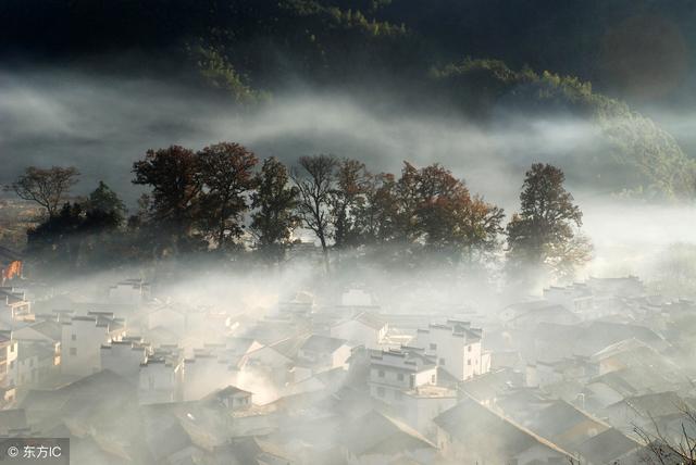 你有梦过捡钱或掉牙吗?