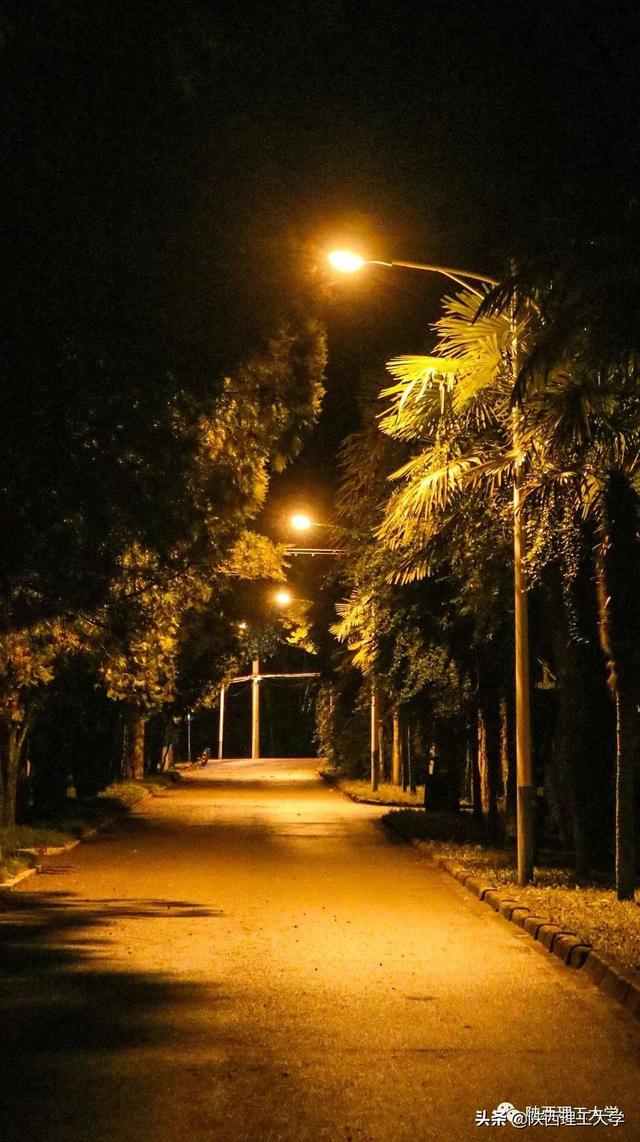 夜色撩人，怎得一个“好”字了得