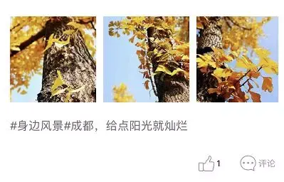 在中老年人交友社交平台转了一圈后，我相信爱情了