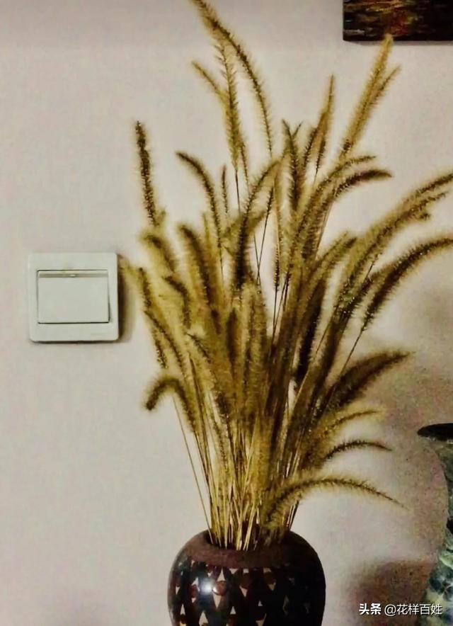 48岁开始跑步，从生活不能自理到马拉松女神，10年她的改变太惊人