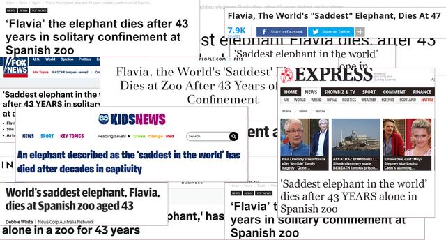 一位47岁美女的受虐实录