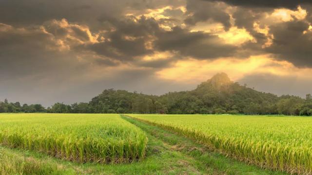 50岁的女人该有自知之明，男人愿意娶我，只有一种意图