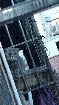 美女在泳池边跳舞，下一秒把我逗笑了，太搞笑了