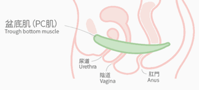 啪啪啪多了那里真的会变松吗？真相其实是