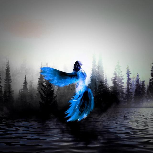 流量岁月里最美的一百首诗歌,献给擦肩而去的2020