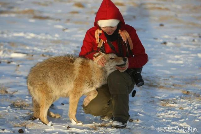 一位女画家的人狼情缘