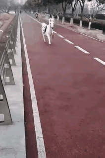 美女在泳池边跳舞，下一秒把我逗笑了，太搞笑了