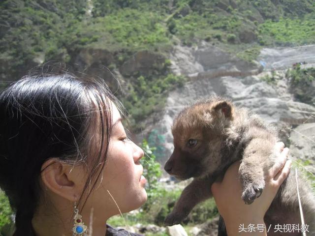 一位女画家的人狼情缘