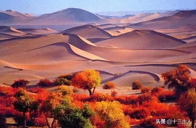 流量岁月里最美的一百首诗歌,献给擦肩而去的2020