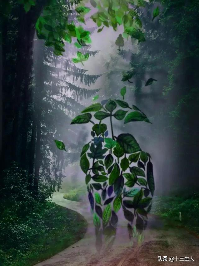 流量岁月里最美的一百首诗歌,献给擦肩而去的2020