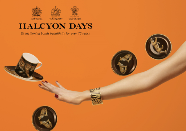 凯特、戴妃同款手镯，英国王室都爱的瓷器，情人节送礼大气有格调