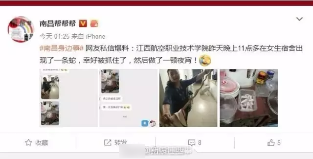 大蛇夜闯女生宿舍 女老师徒手擒蛇做成夜宵