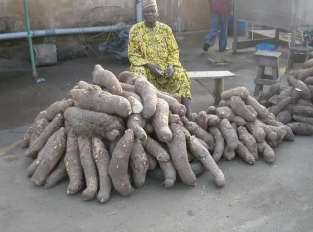 16年山东光棍迎娶22岁黑人美女，非洲美女：非他不嫁