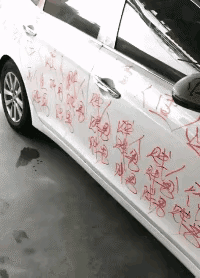 美女在泳池边跳舞，下一秒把我逗笑了，太搞笑了