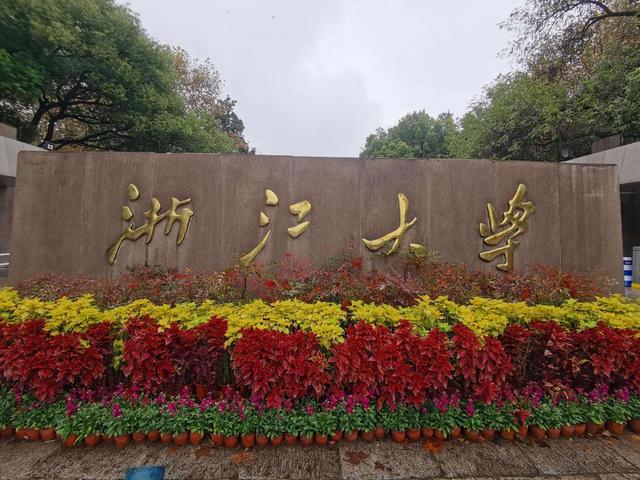 浙大“最美”女老师走红，获百万奖金，30岁就当上了985大学博导