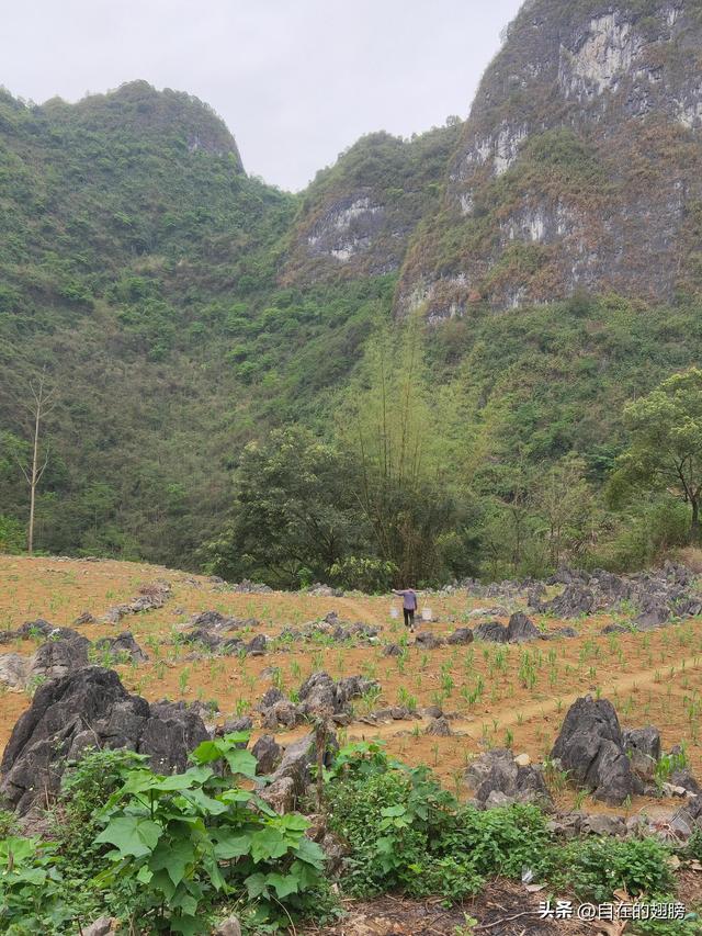 一个50岁的女人