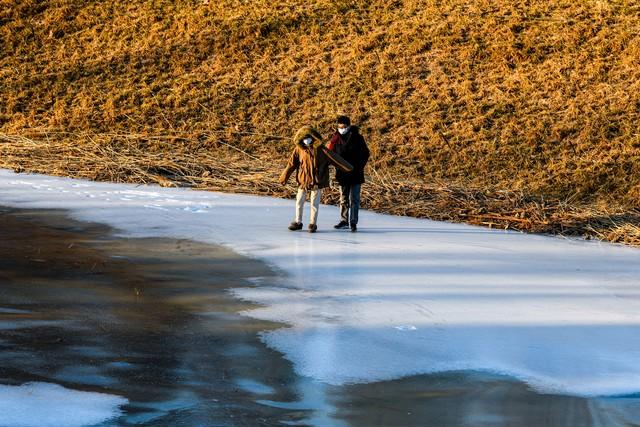 双鱼座和什么星座最配，看看有没有你的星座吗？