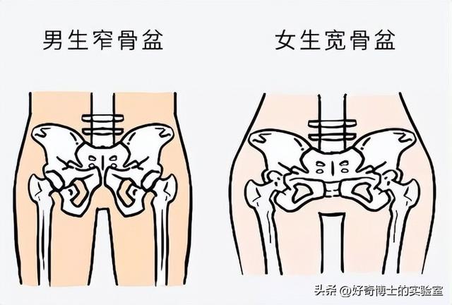 女性的身体，到底有多少不合理的地方？