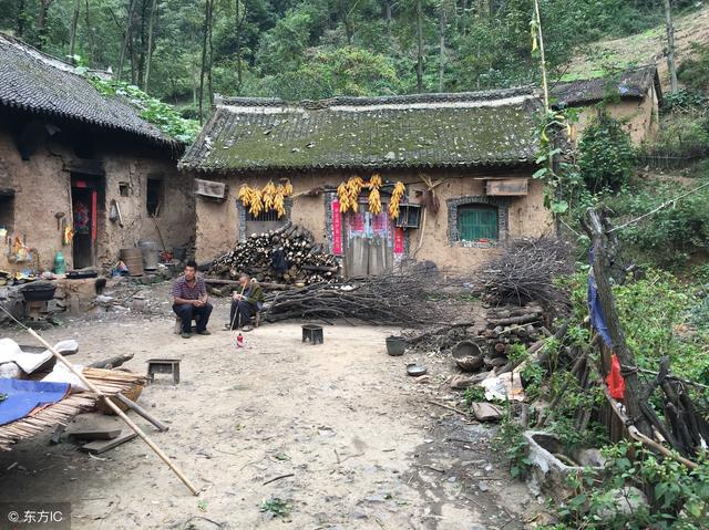 小山村出怪事，每年有十几个男人因打工而死，为了不打工拼命读书