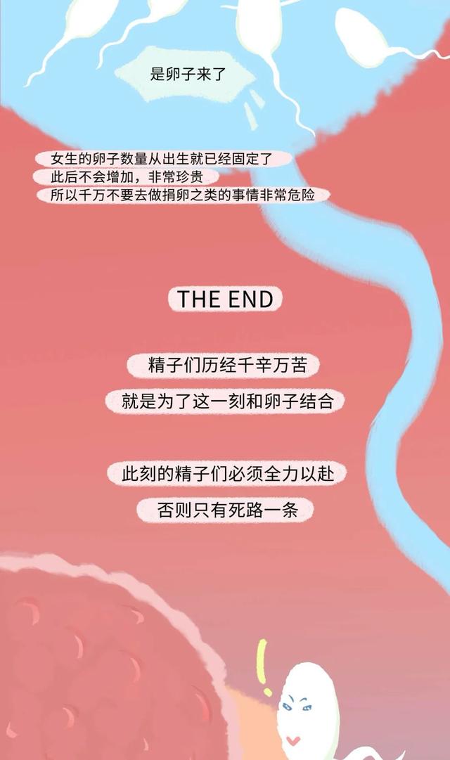 女人是如何怀孕的？全过程图曝光！