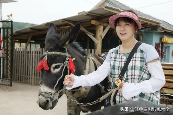 盘点“闫学晶”10部经典电视剧，哪个角色给你留下深刻印象？