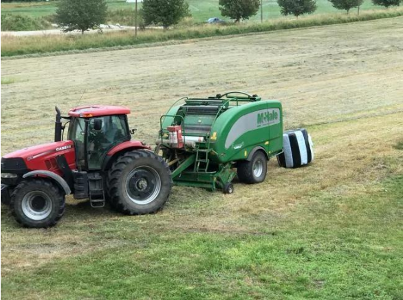 年轻的中国美女买下温哥华243亩的农场，从此过上了农场主的生活