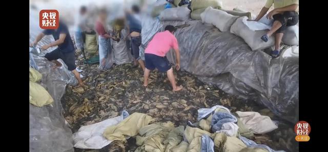 315晚会6大打假现场:美女主播是抠脚大汉,土坑老坛酸菜不忍直视