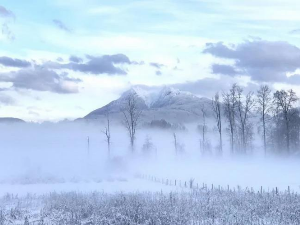 年轻的中国美女买下温哥华243亩的农场，从此过上了农场主的生活