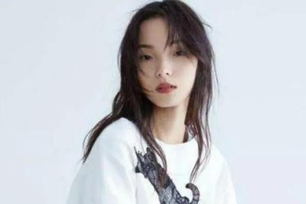 盘点中国十大单眼皮也好看的女星