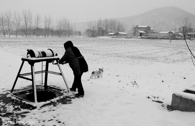辘轳女人井和狗