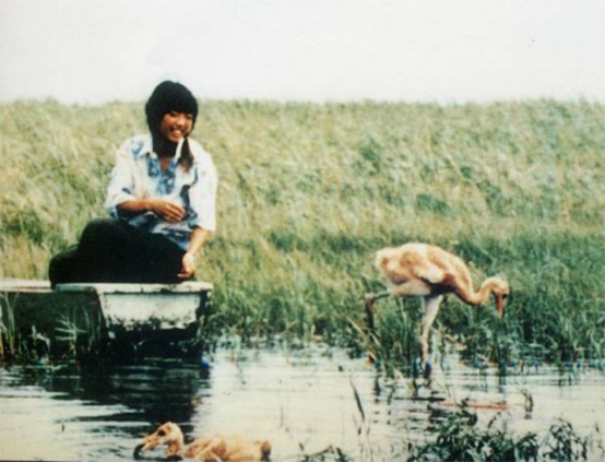 1986年,徐秀娟怀抱3颗丹顶鹤蛋南下,一年后救鹤牺牲,年仅23岁