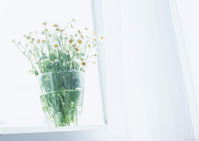 男人真心爱一个女人,藏不住的三个表现