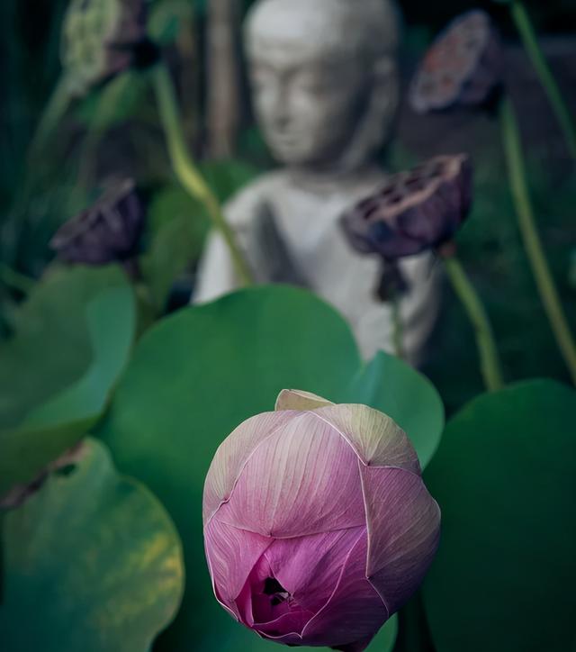 少女爱上老师不伦之恋，逃避婚姻堕下胎儿，治愈小说《催眠者》