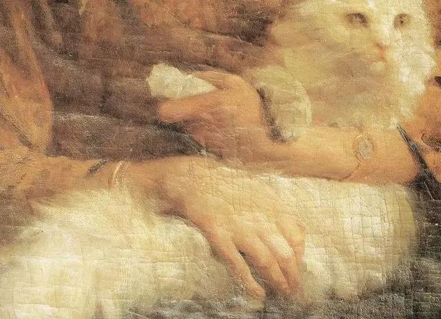 爱猫女士的艺术历程（艺术随笔）