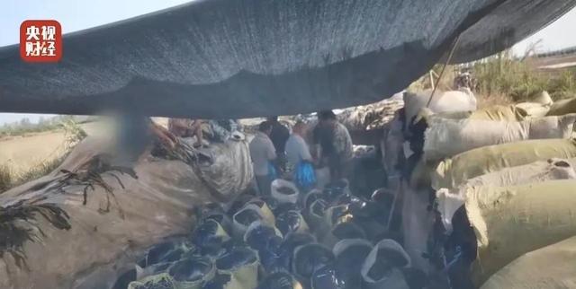 315晚会6大打假现场:美女主播是抠脚大汉,土坑老坛酸菜不忍直视