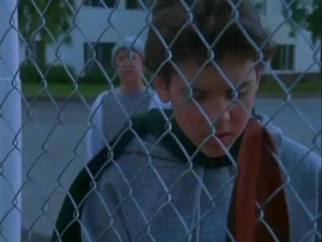 十部比《绿皮书》更好看的豆瓣9分佳片，全部看过算我输