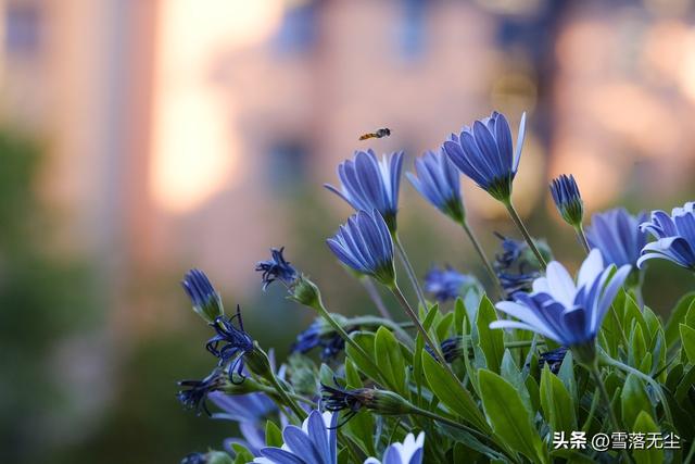 男女之间的“十大差异”:只有真正看明白的人,才能找到真爱