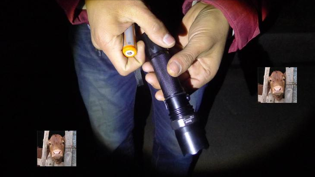 外貌普通却威力巨大!八种女性自卫神器,其貌不扬却是救命神器