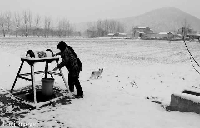 辘轳女人井和狗