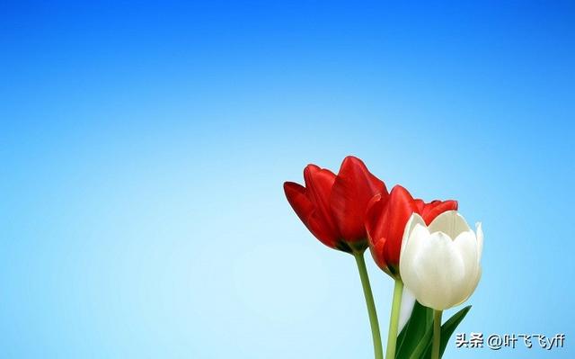 女人主动给你三个“特权”,暗示对你动情了,别后知后觉