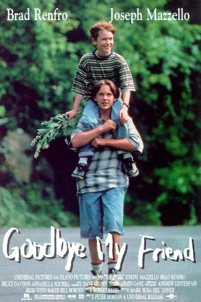 十部比《绿皮书》更好看的豆瓣9分佳片，全部看过算我输