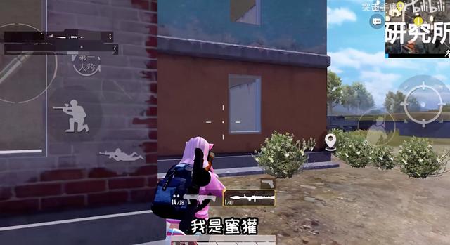 人气美女主播入驻B站，蜜獾为其站台，组建和平精英板块最强CP