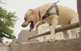 搞笑GIF趣图：美女回农村好几天了，现在出不去，在家都无聊死了