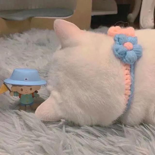 女生头像 非主流少女