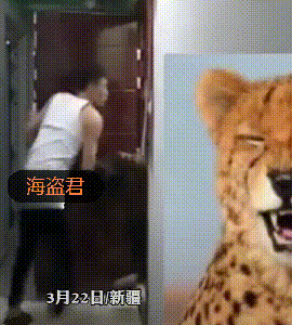 男子凌晨夺门而出，女子亲吻挽留被推倒，网友：后面又出来一男人