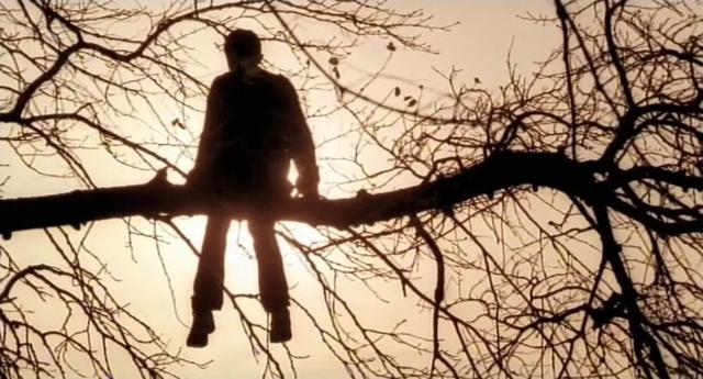 十部比《绿皮书》更好看的豆瓣9分佳片，全部看过算我输