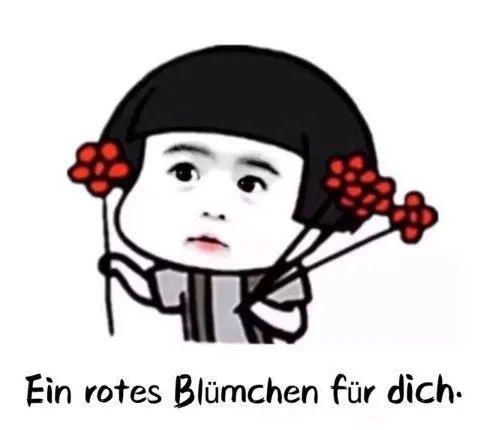 表情包，朋友圈，发红包，加好友……这些微信用语，你会用德语说吗？