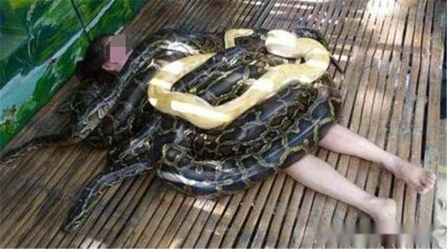 怀孕38周梦见蛇缠身，第二天胎儿发动了，看到孩子产妇懵了