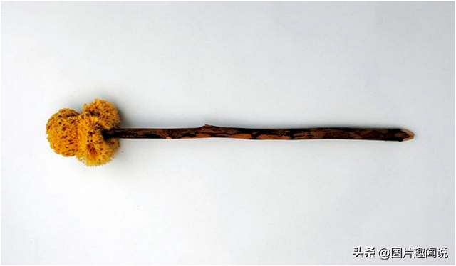 33张照片看世界：荷兰妓院的油画，世界上最古老的胸罩