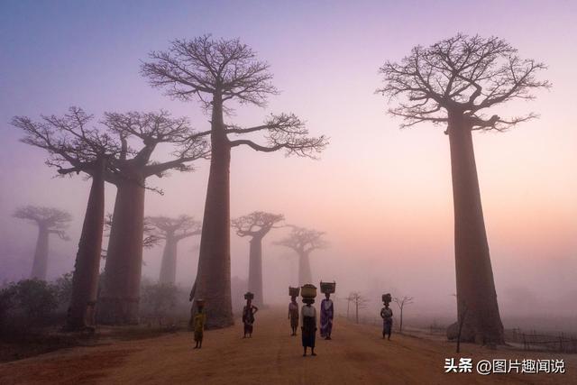 33张照片看世界：荷兰妓院的油画，世界上最古老的胸罩